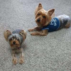 Meet your Posher, Deanna